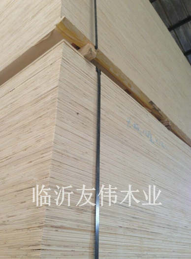 異形托盤板不可貌相，發(fā)展前景不可限量